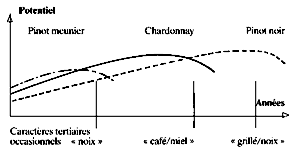 Evolution des 3 cépages