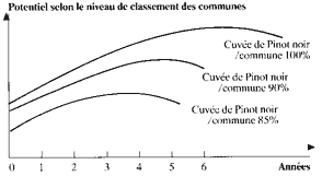 Potentiel selon le niveau de classement des communes