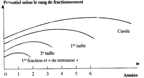 Potentiel selon le rang de fractionnement