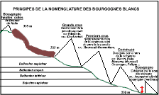 Cliquez pour agrandir